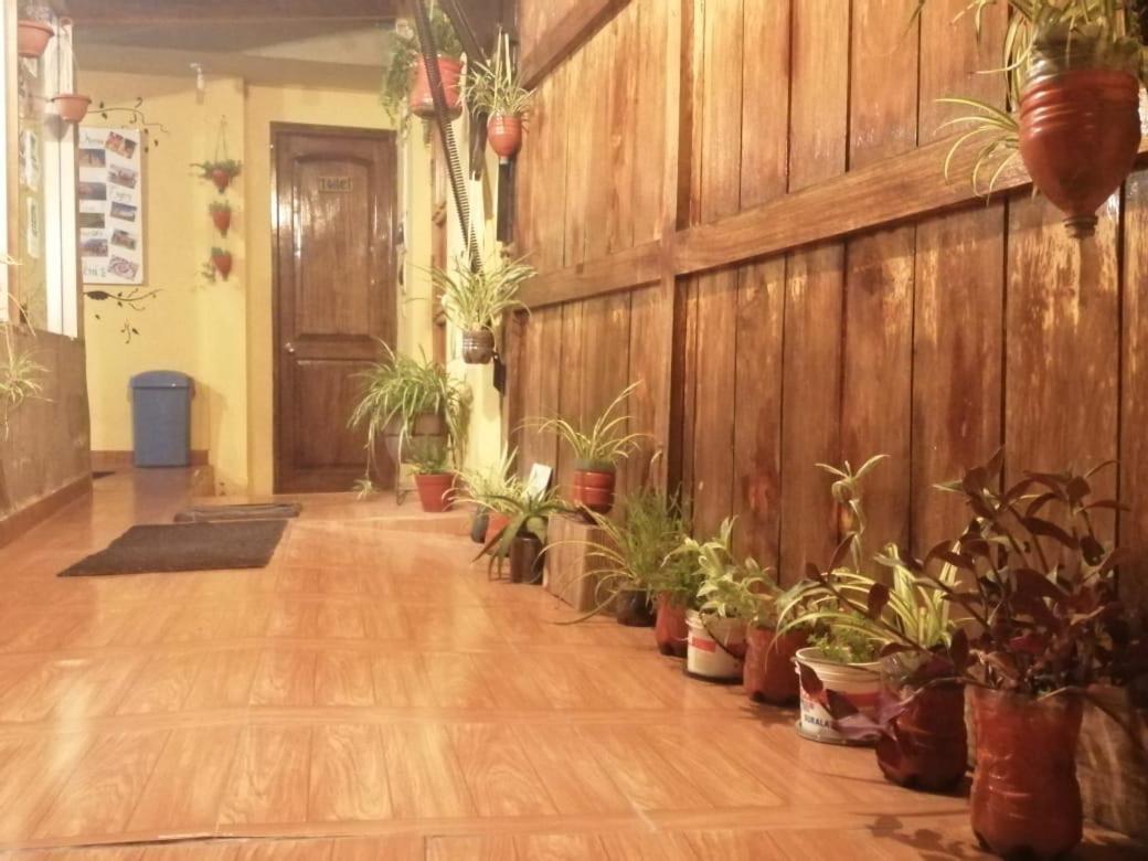 Eco Aventura Hostel كوسكو المظهر الخارجي الصورة